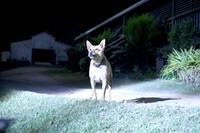 Кадр Вторжение: Битва за рай