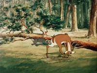 Кадр Олень и волк