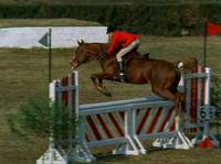 Кадр Комиссар полиции обвиняет