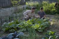 Кадр Древо жизни