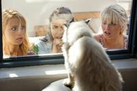 Кадр Секрет острова Мако