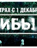 Постер из фильма "Грибы 3D" - 1