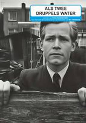 Как две капли воды