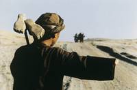 Кадр Кандагар