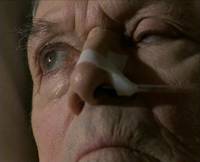 Кадр Американские кузены