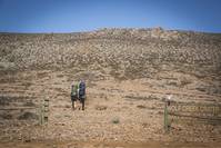 Кадр Волчья яма 2