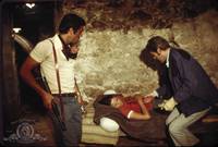 Кадр Бутон розы