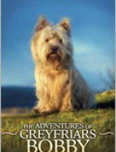 Малыш Бобби