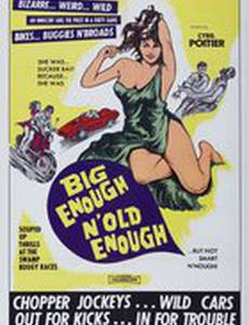 Бунтари из ада