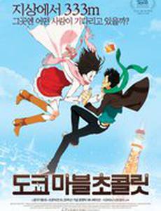 Токийский мраморный шоколад