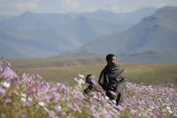 Кадр The Forgotten Kingdom