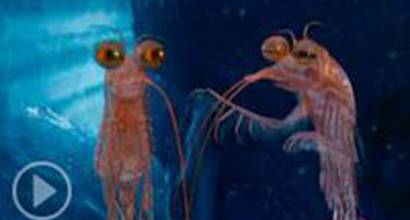 Фрагмент №8