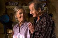 Кадр Возвращение аистов