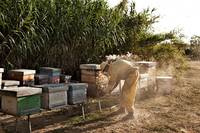 Кадр Чудеса