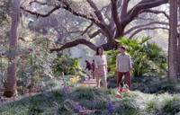 Кадр Пророчество Селесты