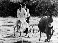 Кадр Буч Кэссиди и Сандэнс Кид