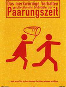 Странное поведение половозрелых горожан во время брачного сезона