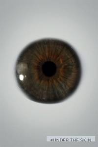 Постер Побудь в моей шкуре