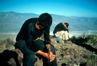 Кадр Джерри