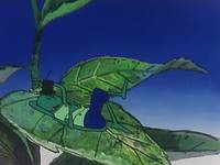 Кадр Пчелка Майя