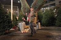 Кадр Новенькая