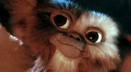 Кадр из фильма "Гремлины" - 2