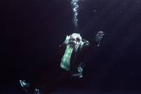 Кадр Цыгане