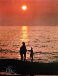 Кадр Черный скакун