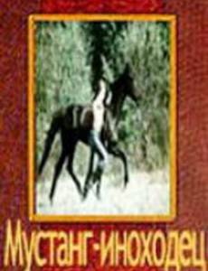 Мустанг-иноходец