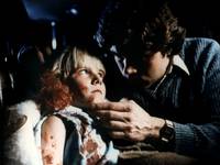 Кадр Выводок