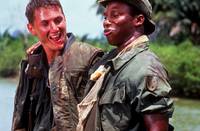 Кадр Военные потери