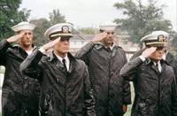 Кадр Морские котики