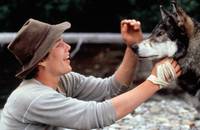 Кадр Белый клык