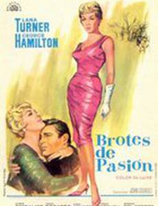 Охваченные любовью