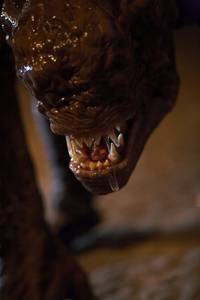 Кадр Мерлин