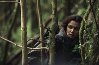 Кадр Лобстер