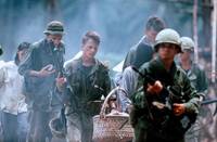 Кадр Военные потери