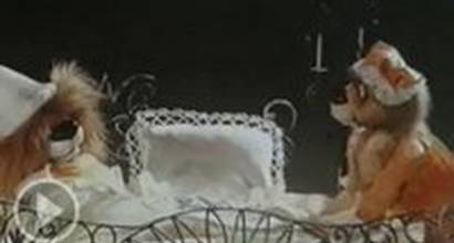 Мультфильм 