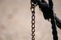 Кадр Обезьянки