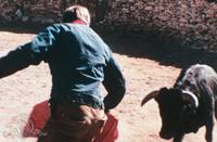 Кадр Cycles South