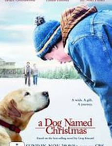 A Dog Named Christmas