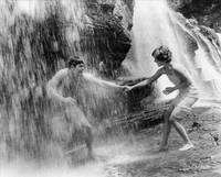 Кадр Великолепие в траве