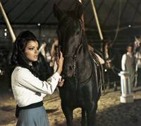 Кадр Черный красавчик