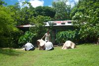 Кадр Оратор