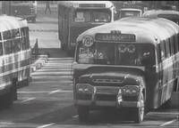 Кадр Кубок мира по футболу в Чили 1962 года