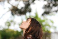 Кадр Дерево