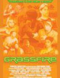 Grassfire