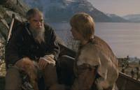 Кадр И на камнях растут деревья