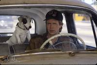 Кадр Стерлось из памяти