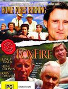 Огонь в домашнем очаге